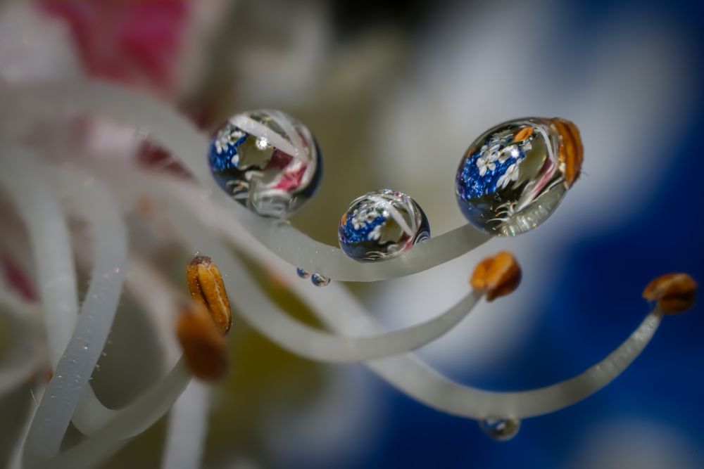 Photograph by Николай Фонарёв