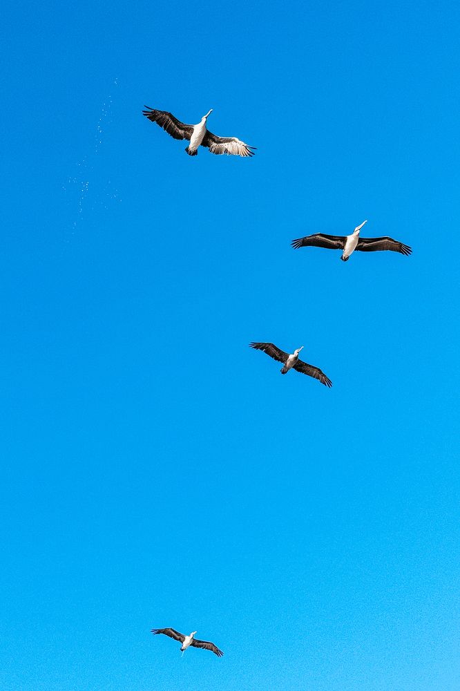 Photograph by Anna Vlasova