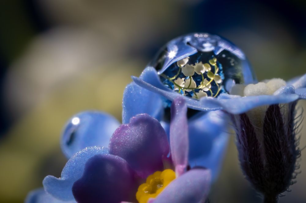 Photograph by Николай Фонарёв