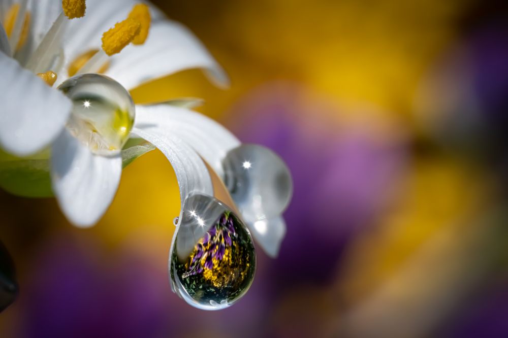 Photograph by Николай Фонарёв