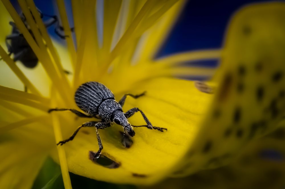 Photograph by Николай Фонарёв