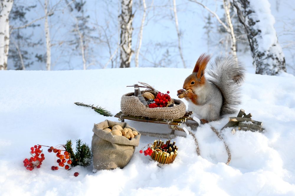 Photograph by Елена Гасенко