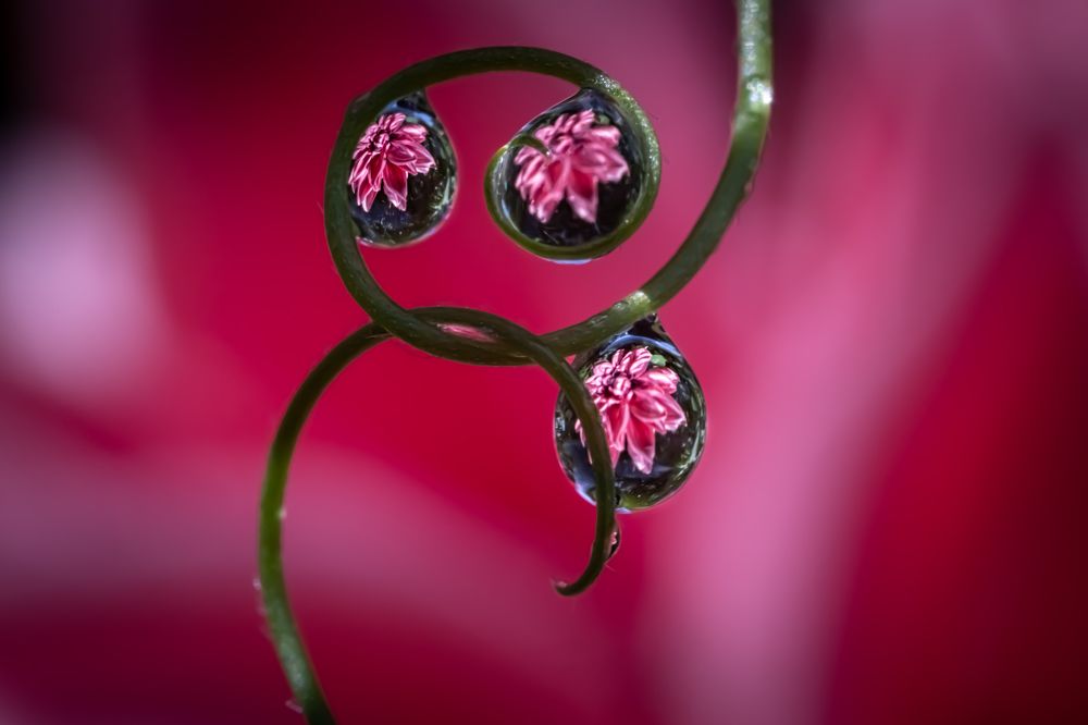 Photograph by Николай Фонарёв