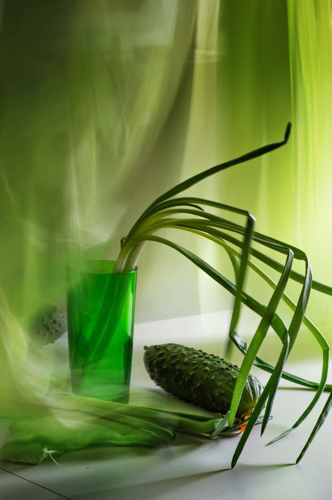 Photograph by Анастасия