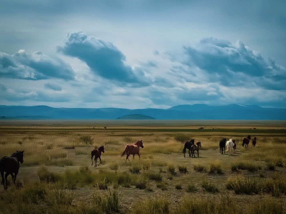 Photograph by Александра Петрова