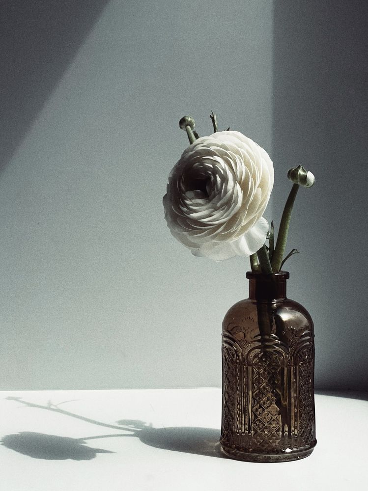 Photograph by Olga Osipova