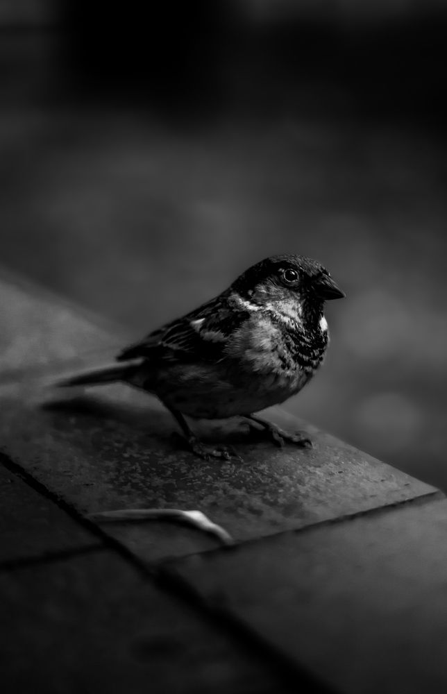 Photograph by Виталий