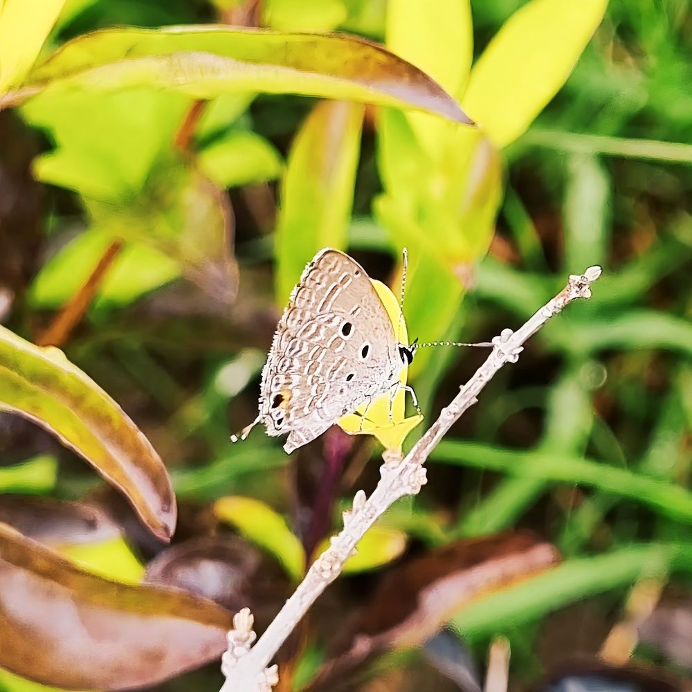 Photograph by Nidhi Singh
