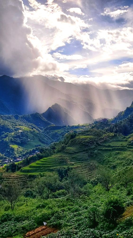 Фотография автора Светлана Зимина