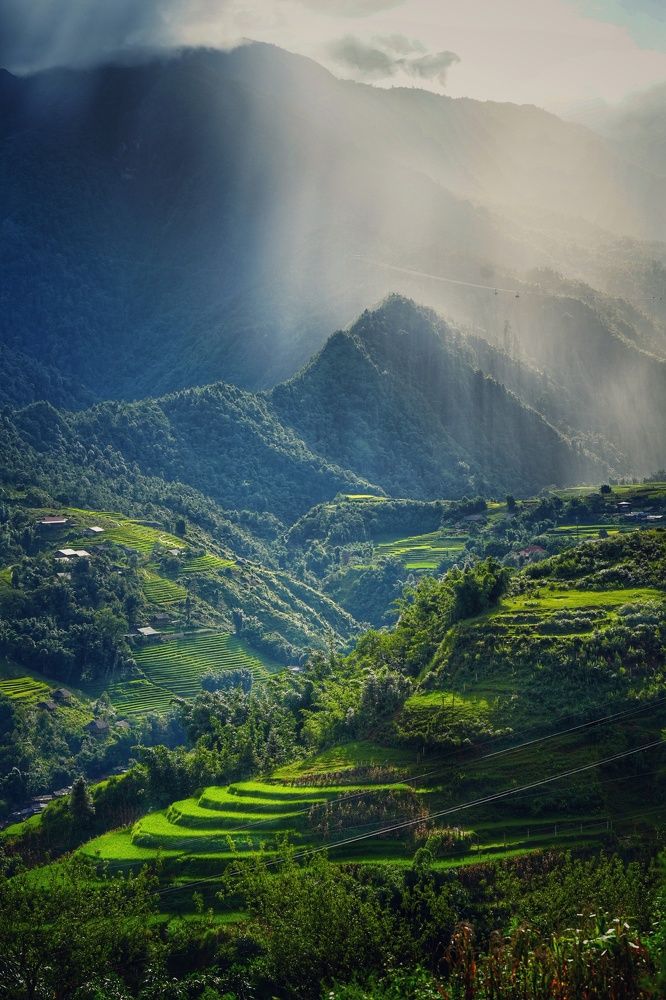 Photograph by Светлана Зимина