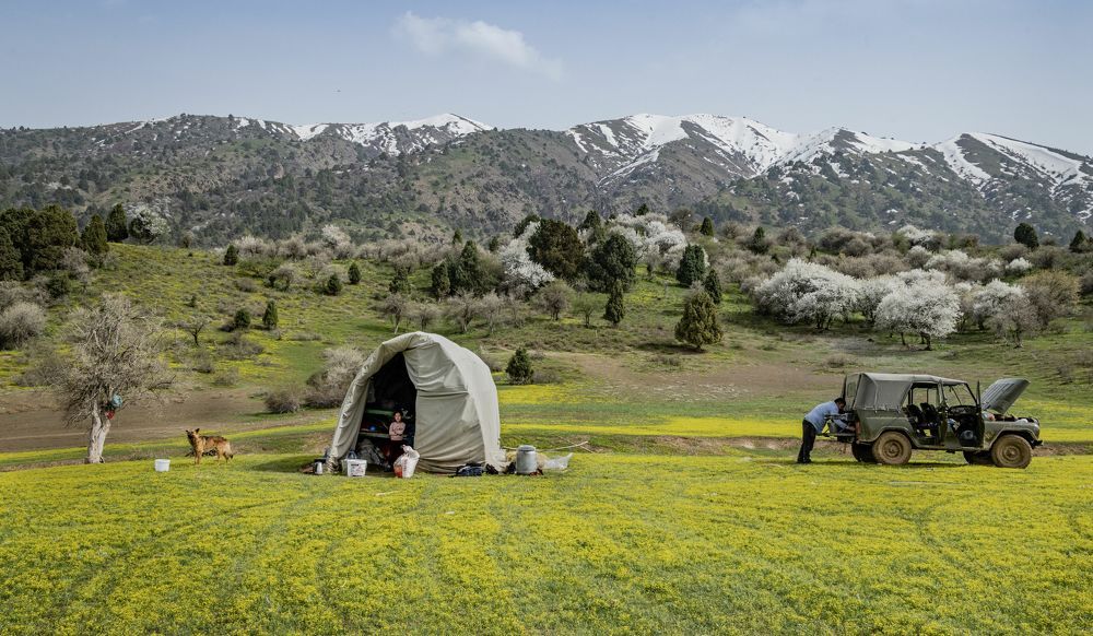 Сельская семья