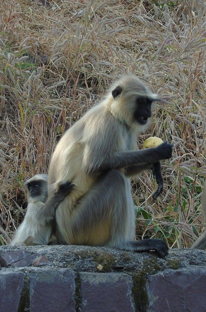 Photograph by Chitransh Agrawal