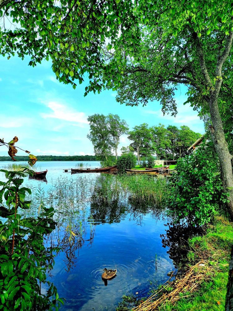 Photograph by Ольга Юрченко