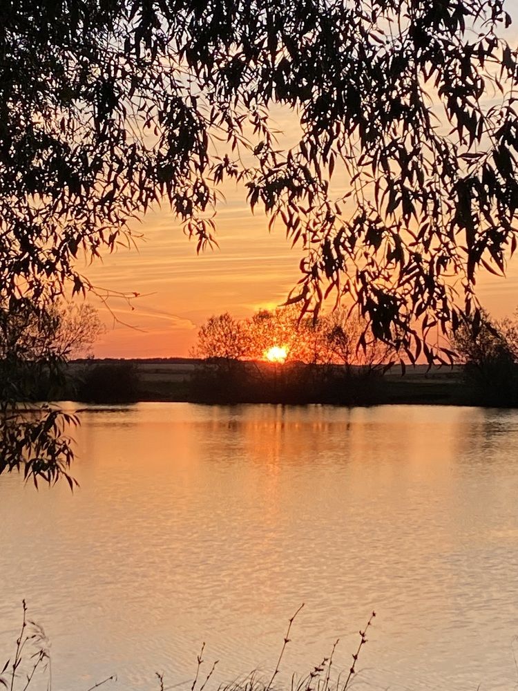 Photograph by Марина