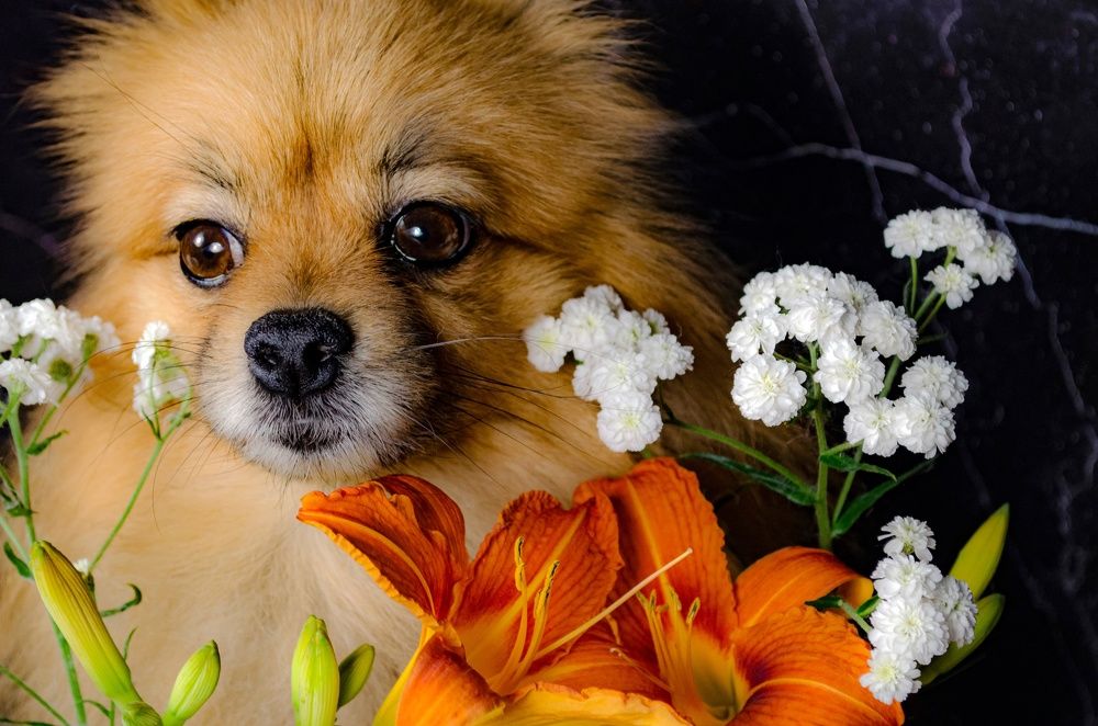 Photograph by Любовь Бусова