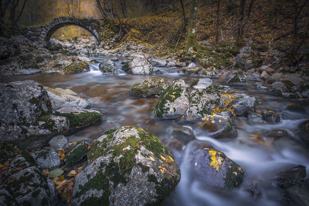 Photograph by Luca Menotti