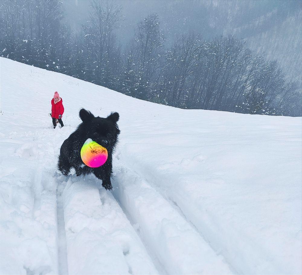 Photograph by Zeljka Miljic