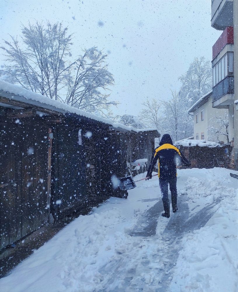 Photograph by Zeljka Miljic