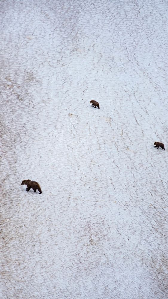 Photograph by Александр Белов