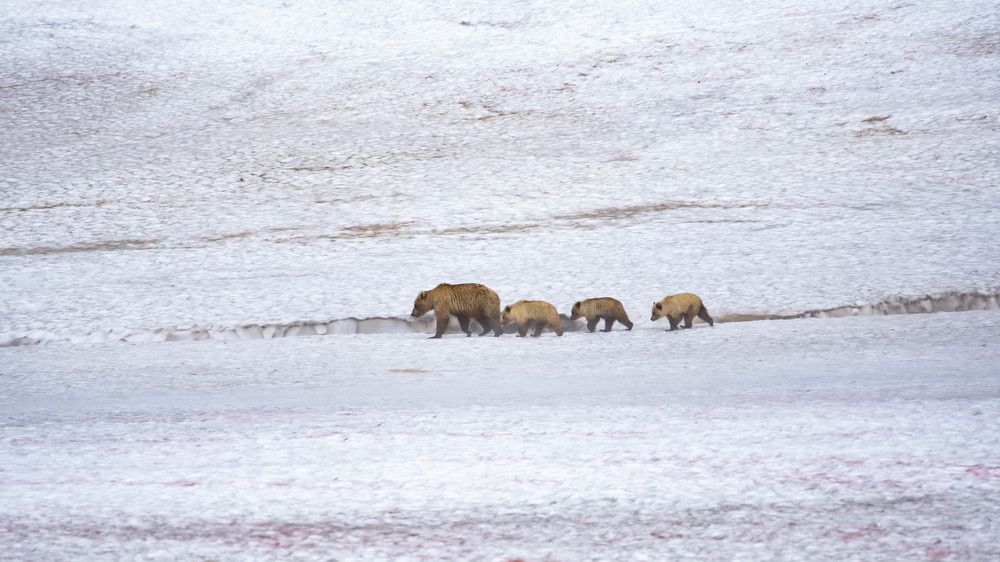 Photograph by Александр Белов