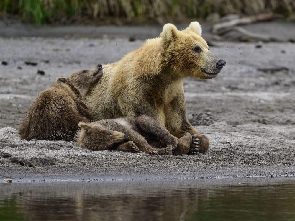 Photograph by Sergey Puponin