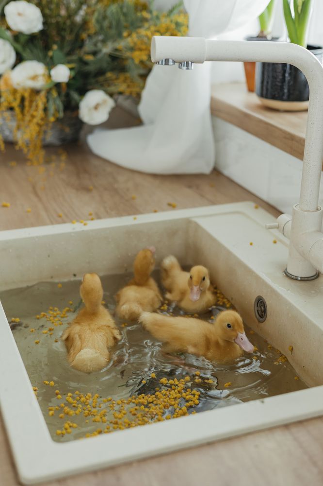 Photograph by Татьяна Ермошина