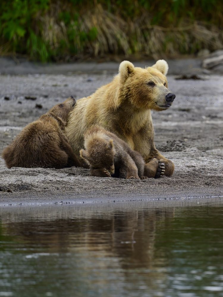 Photograph by Sergey Puponin