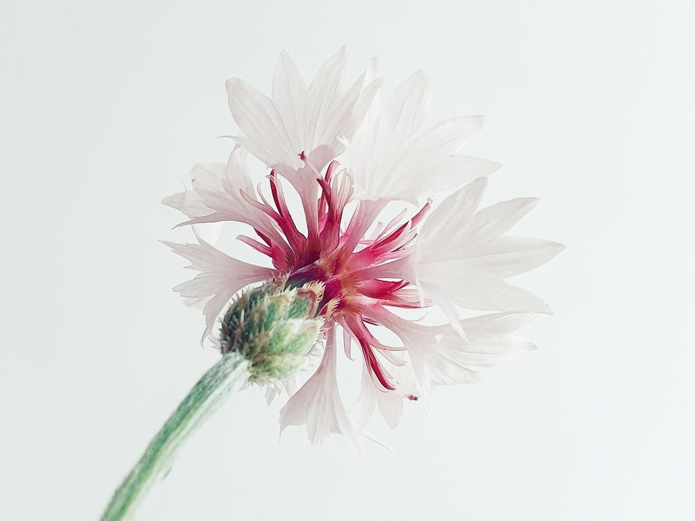 Photograph by Ольга Мандрыкина