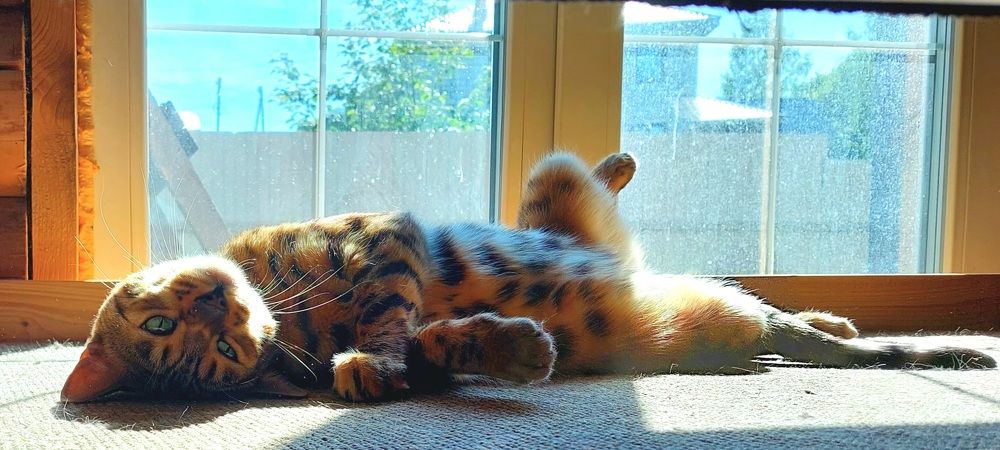 Фотография автора Сергей Можаев