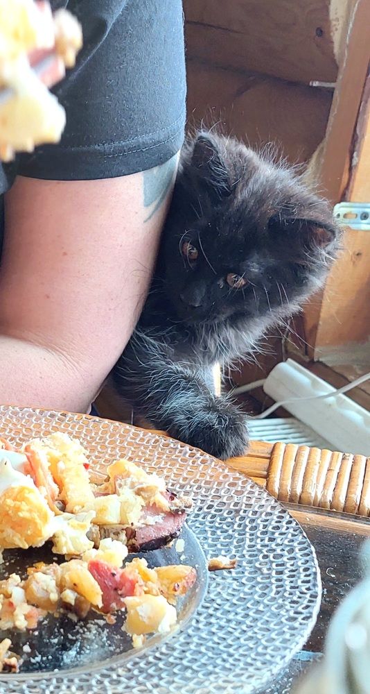 Фотография автора Сергей Можаев