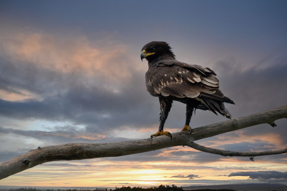 Photograph by Олег Волков