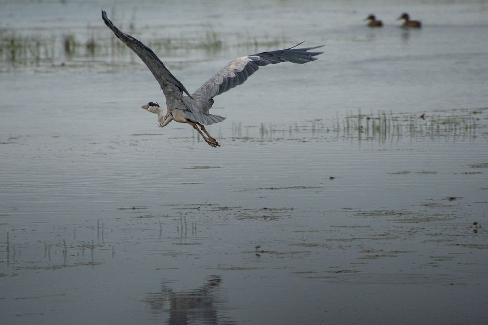 Photograph by Олег Волков