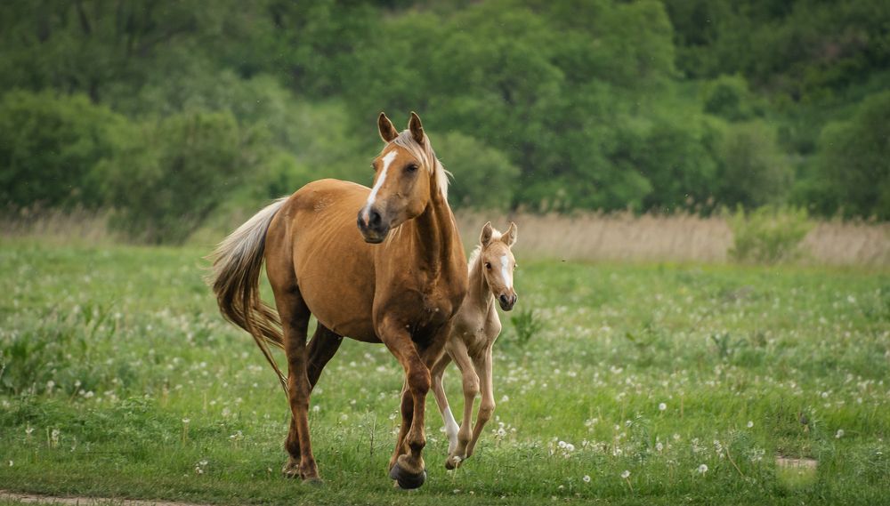 Photograph by Олег Волков