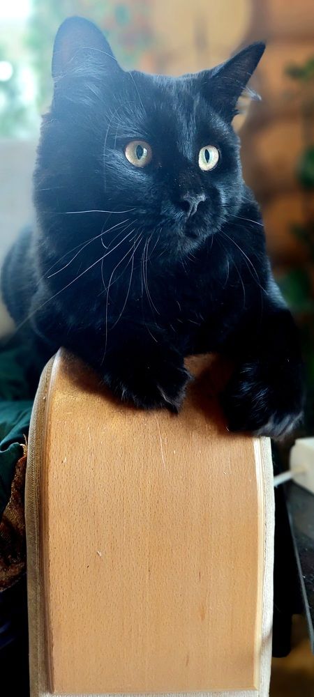 Фотография автора Сергей Можаев