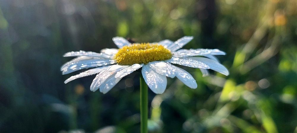 Фотография автора Сергей Можаев
