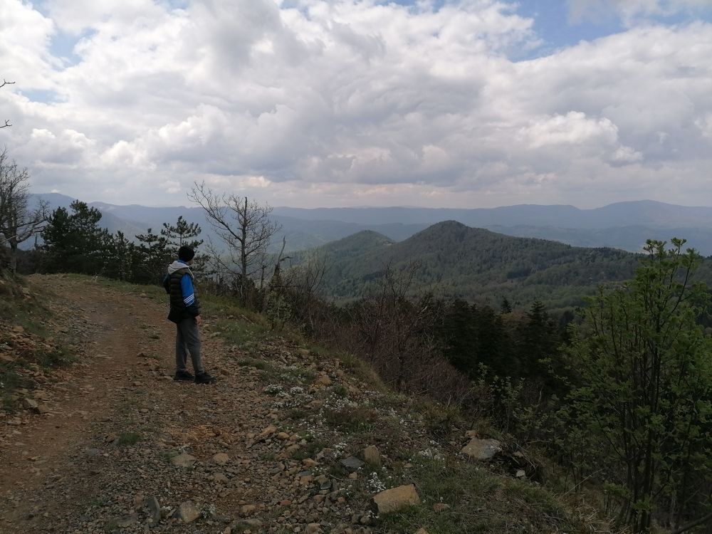 Фотография автора Danica Utjesinovic