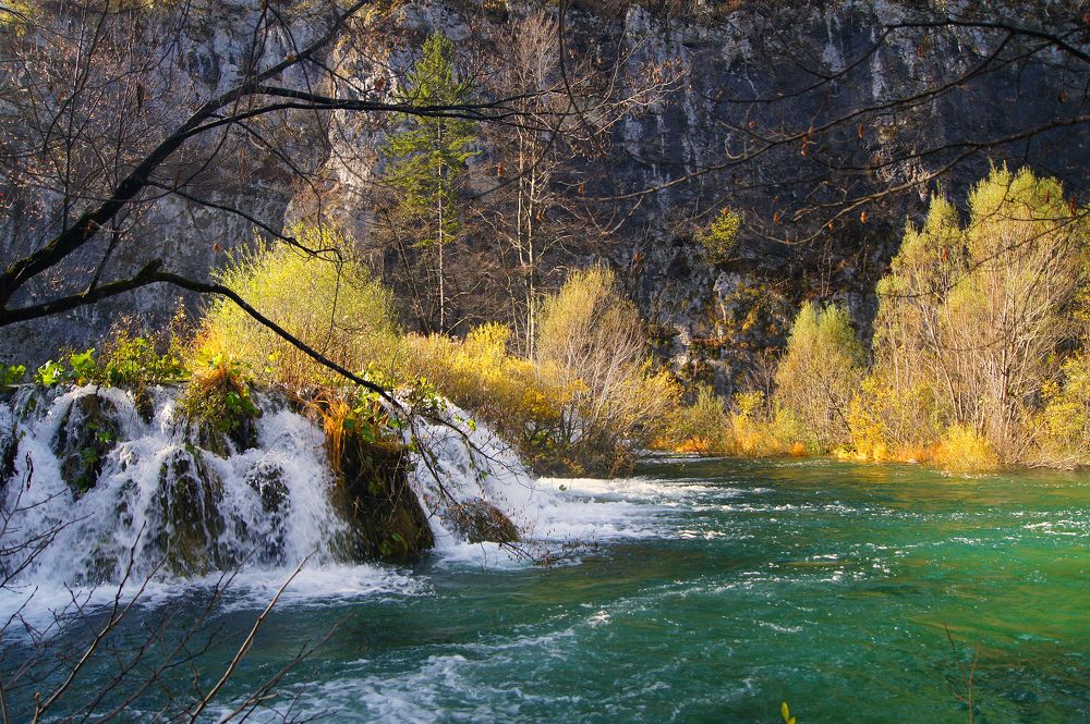 Драгоценные цвета осени.