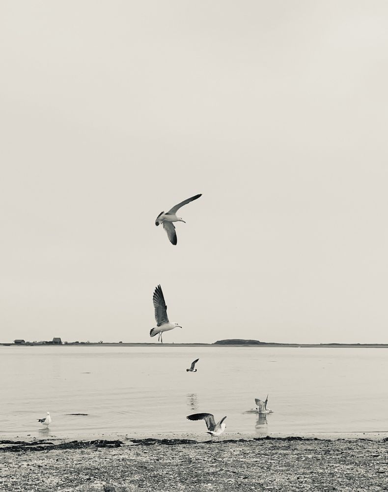 Photograph by Наталия Трошкина