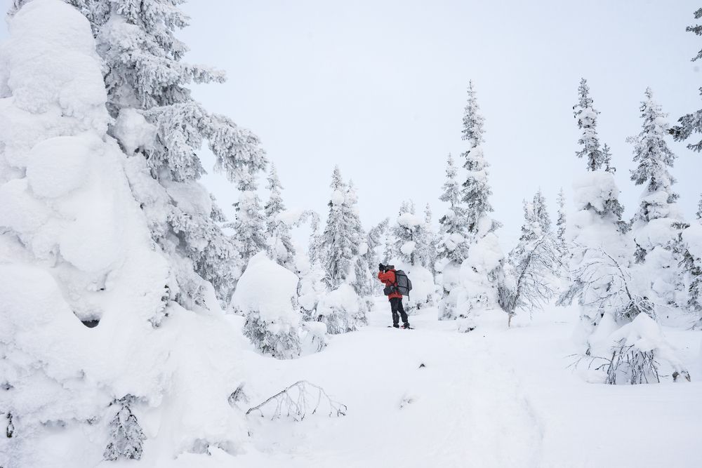 Photograph by Соколова Елена