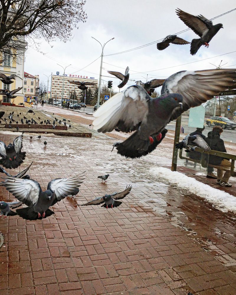 Фотография автора Александр Сипаров