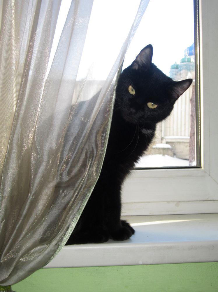 Photograph by Игорь Быков