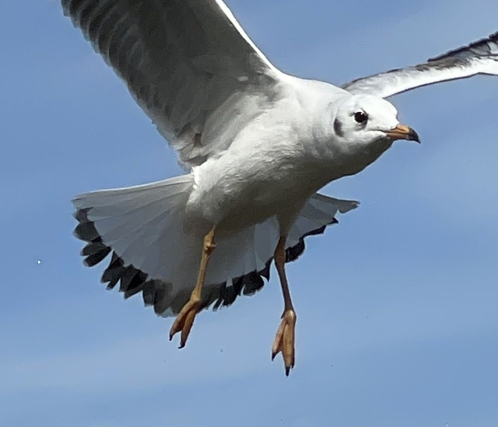 Photograph by Светлана Хохлова