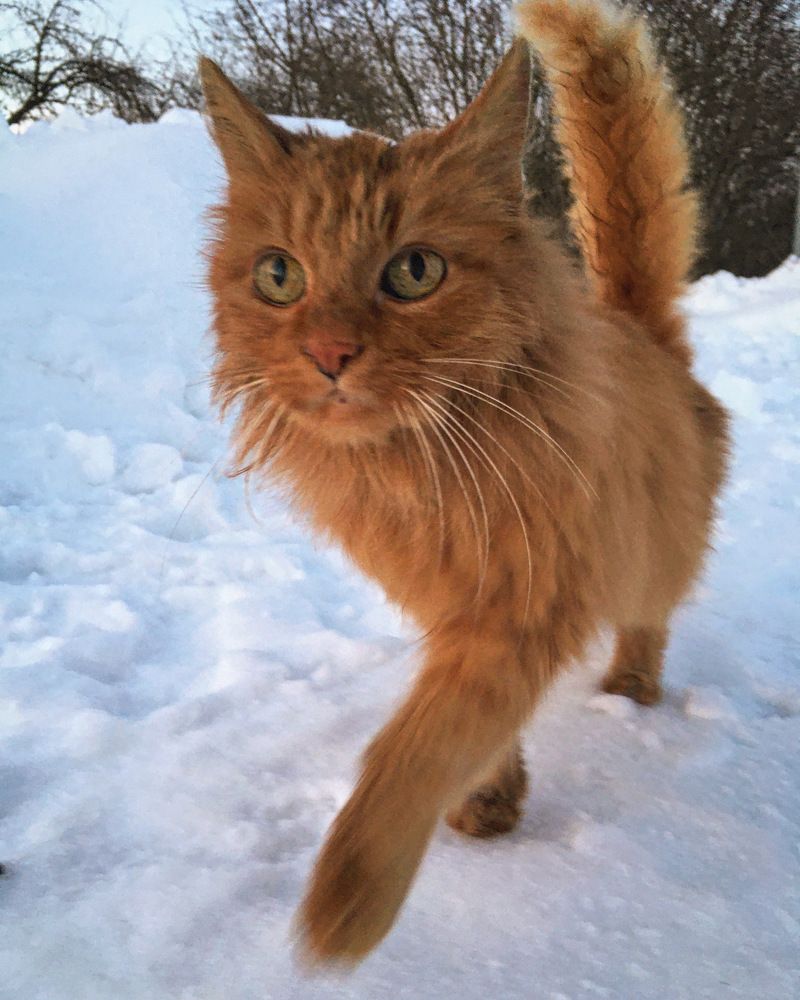 Фотография автора Александр Сипаров