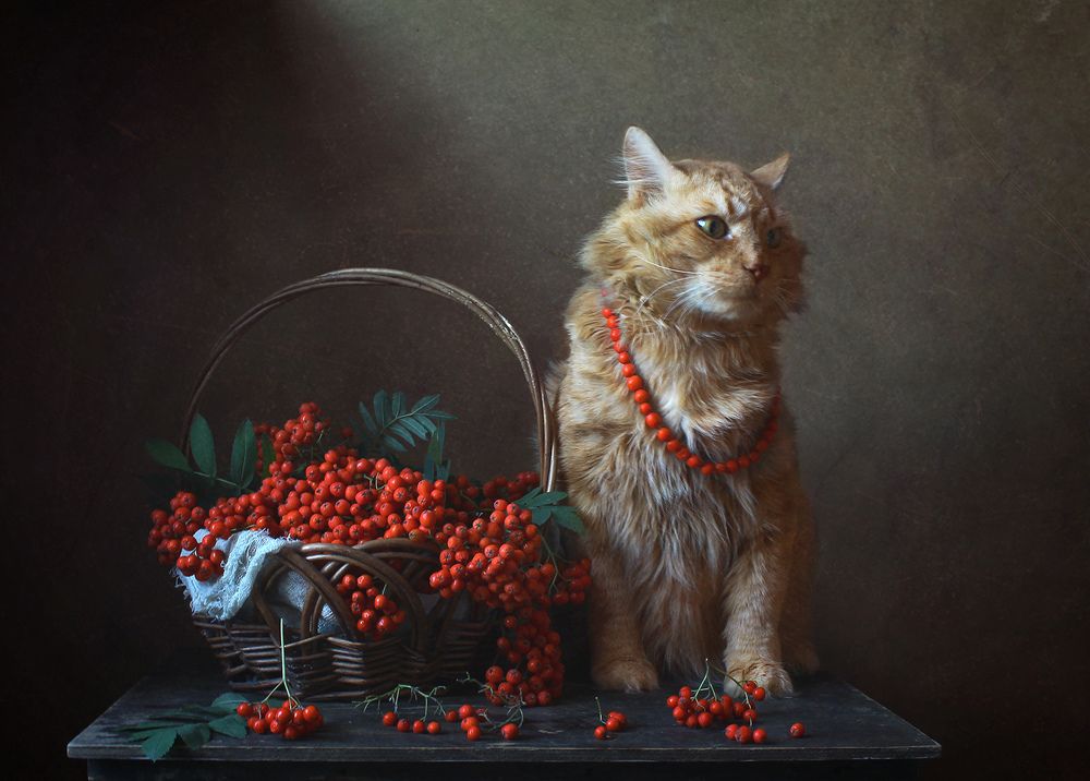 Photograph by Курочкина Диана