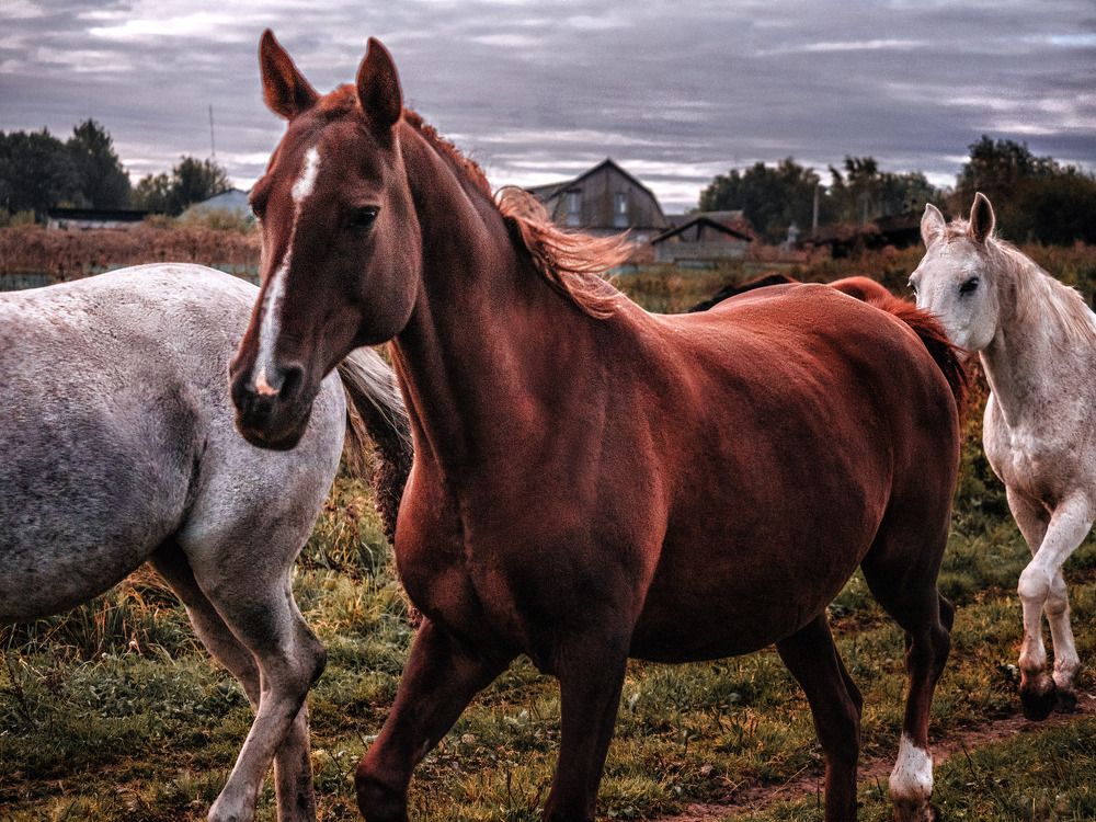 Photograph by Irina Usacheva