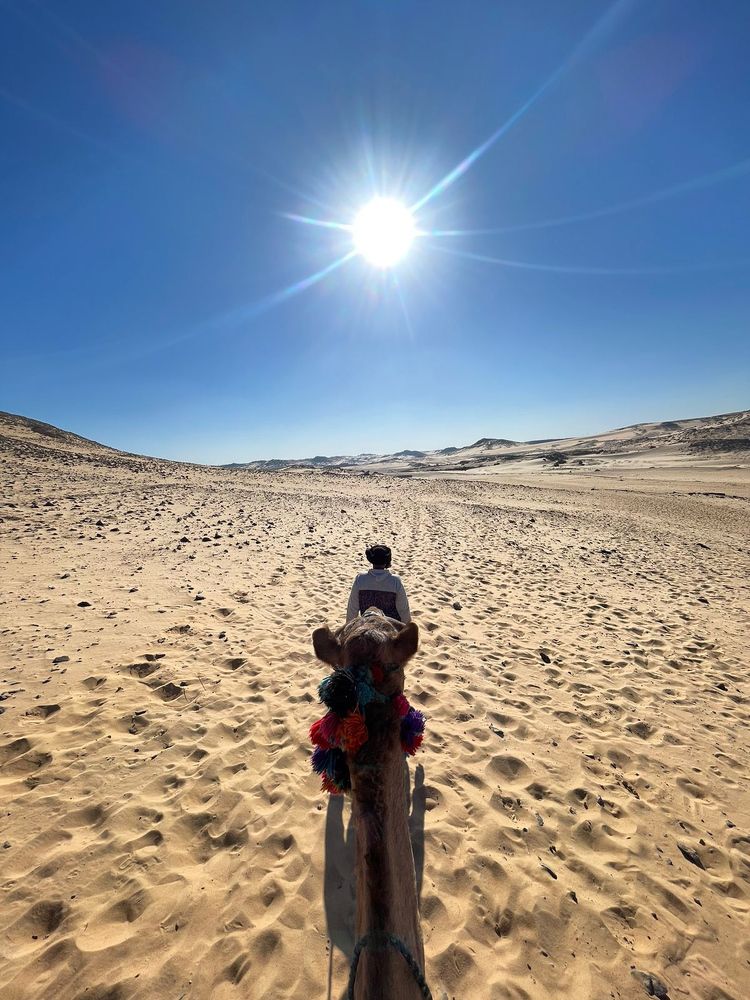 Photograph by Adel Sami