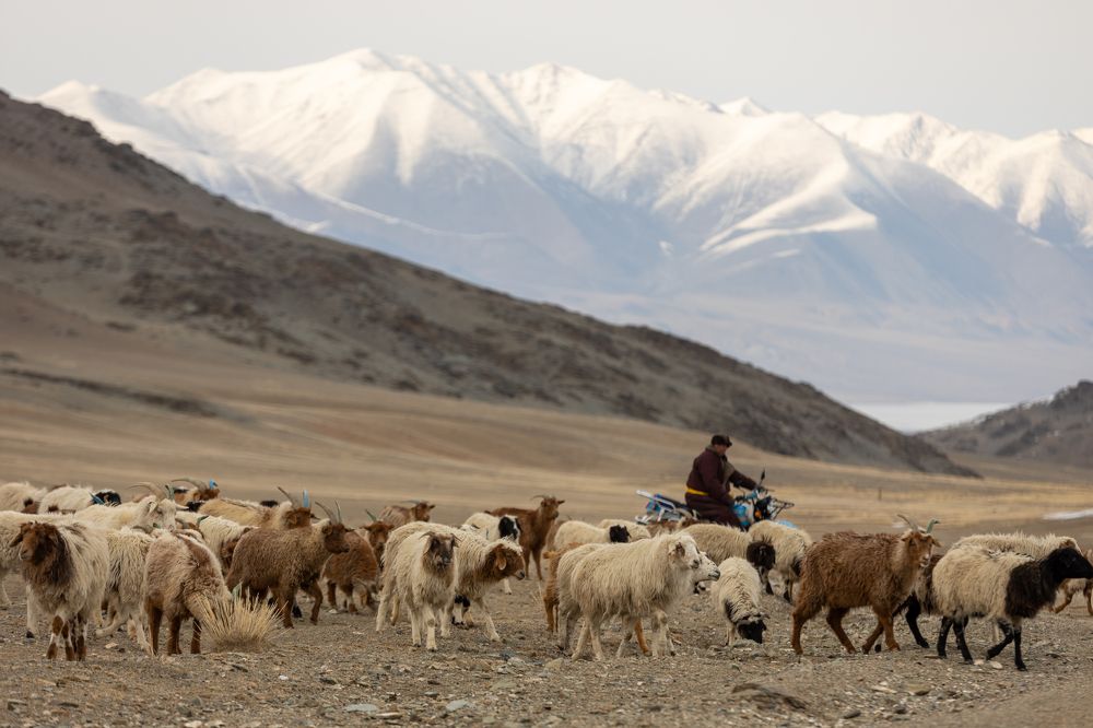 Photograph by Андрей Шабис