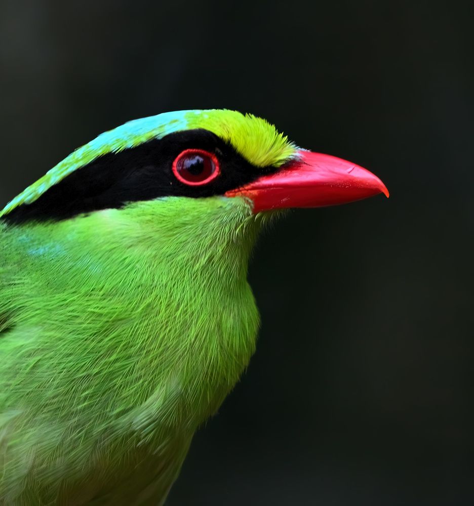 Photograph by Abhishek Manna