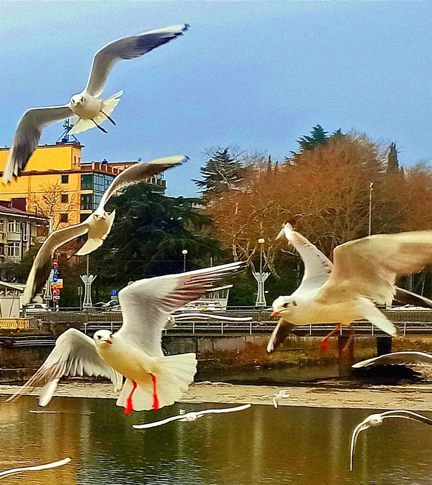 Photograph by Ольга Тихонова