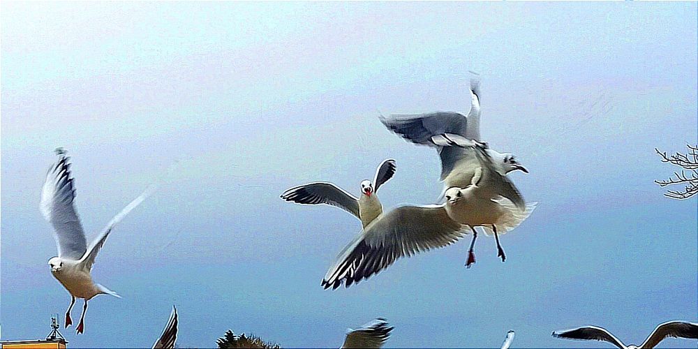 Photograph by Ольга Тихонова